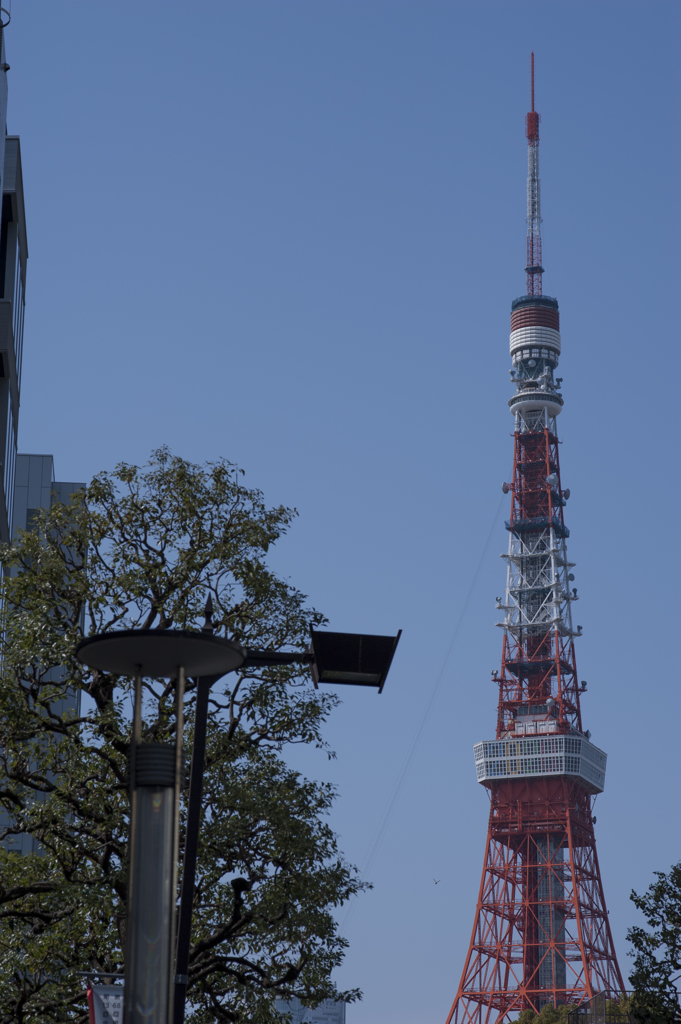 東京散策