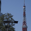 東京散策