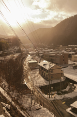 柔らかな日差し