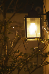 ぼんやり照らしましょう