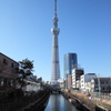 北十間川から見るスカイツリー