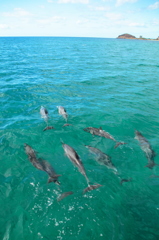 エメラルドの海で泳ぐ