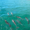 エメラルドの海で泳ぐ