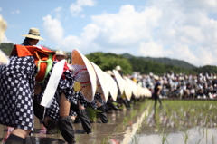 壬生の花田植の早乙女