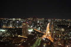 東京タワーから見た風景