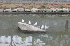 みんな集合
