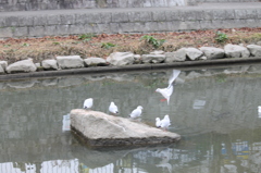 おかえり～