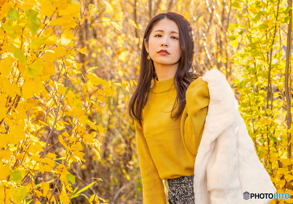 初冬の紅葉