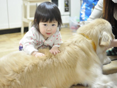 乗れない背中