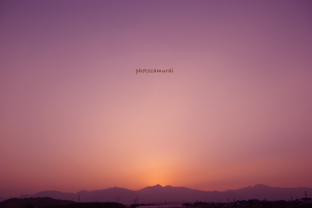 IMGP6205 のコピー