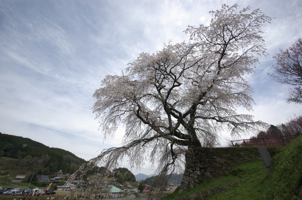 IMGP0450