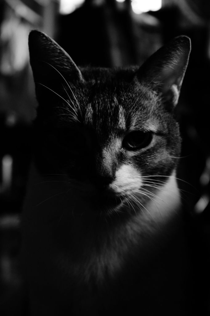 IMG_8179