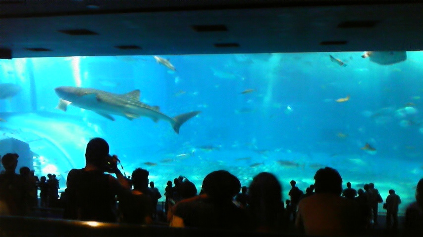 DVC00306