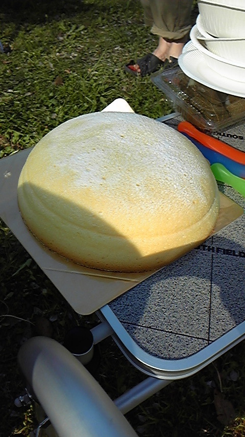 DVC00229