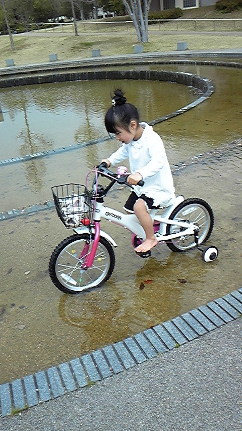 DVC00211