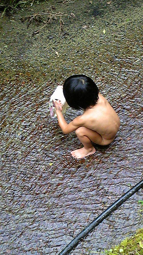 DVC00019