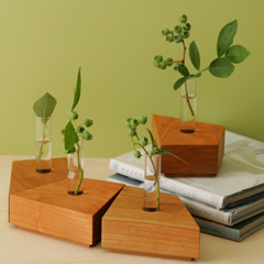 BG096-06-5000-A038_mpop