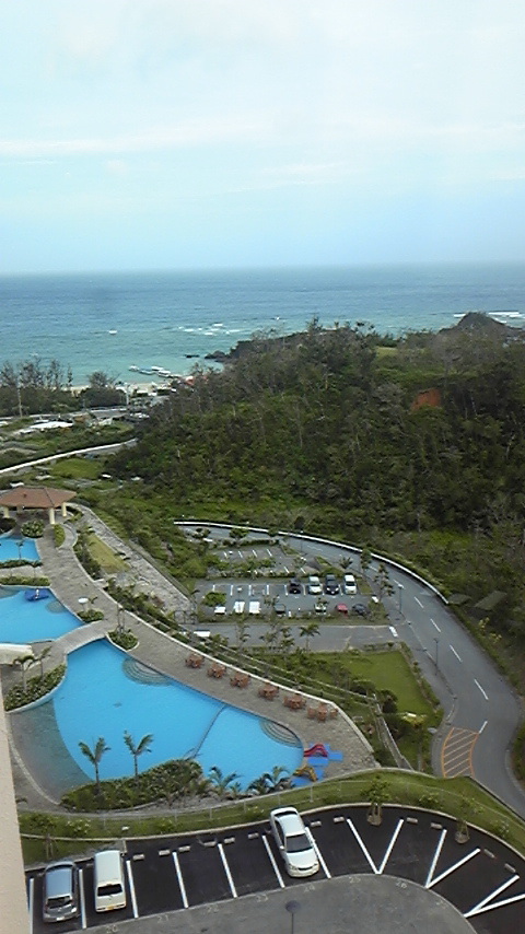 DVC00301