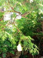 P_20180616_142320