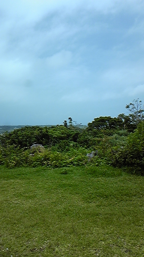 DVC00319