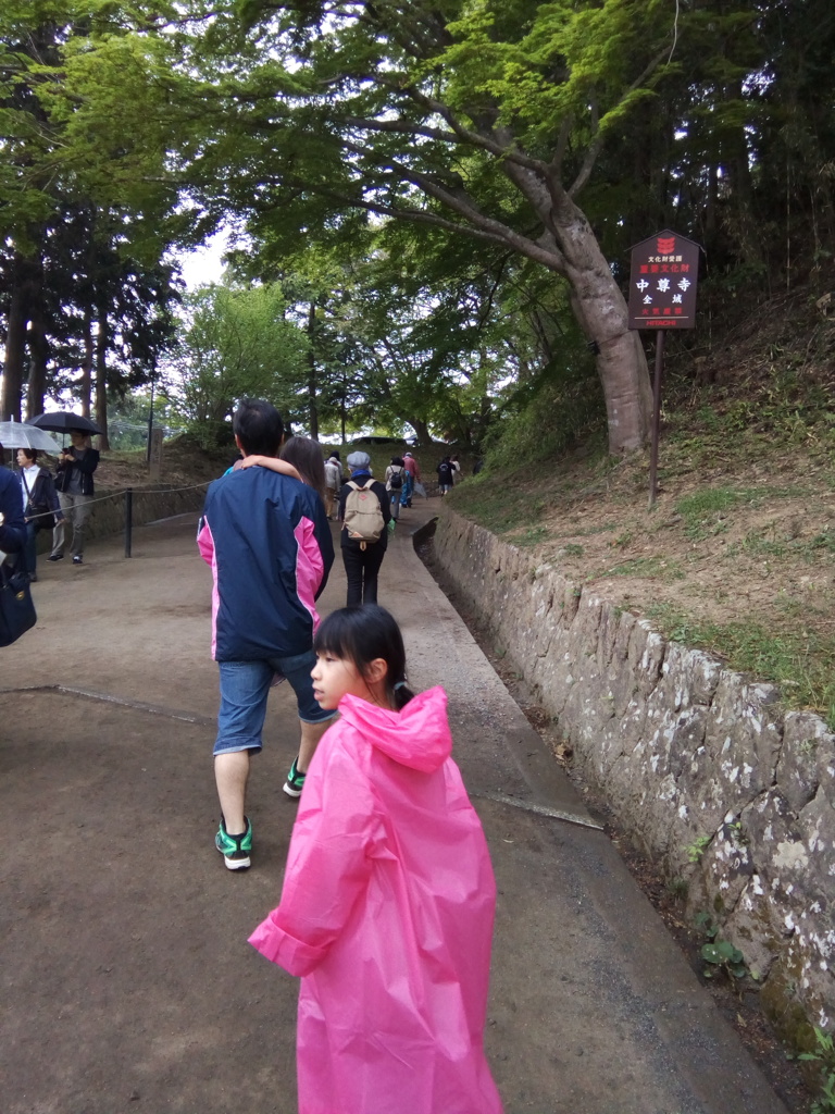IMG_20170506_120737