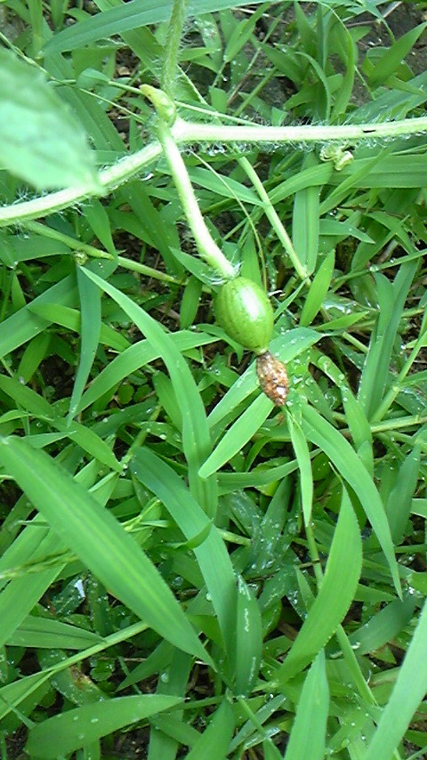 DVC00356