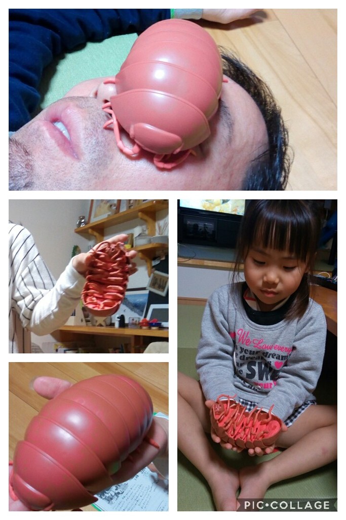 Collage 2019-01-08 19_43_37