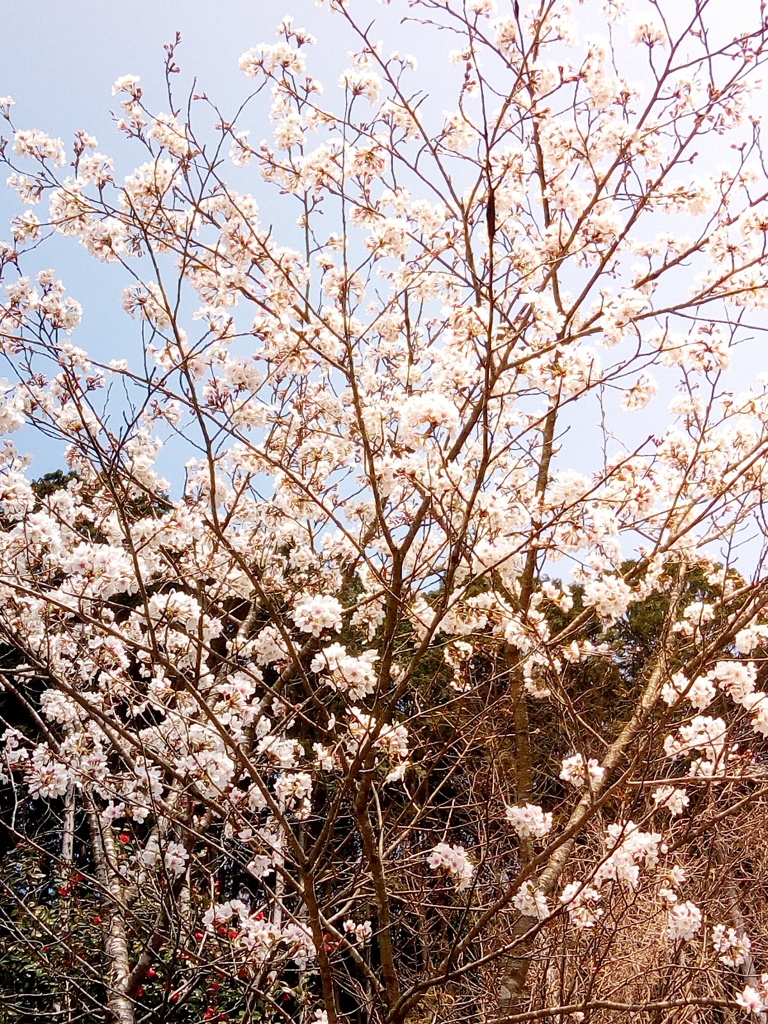 P_20180401_121349