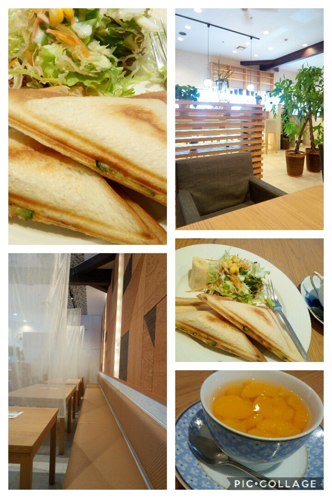 Collage 2019-02-02 09_13_27