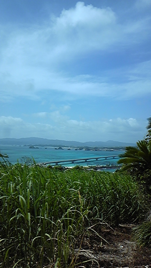 DVC00312
