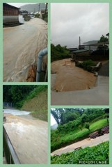 Collage 2018-07-08 20_18_44