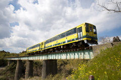 いすみ鉄道と菜の花