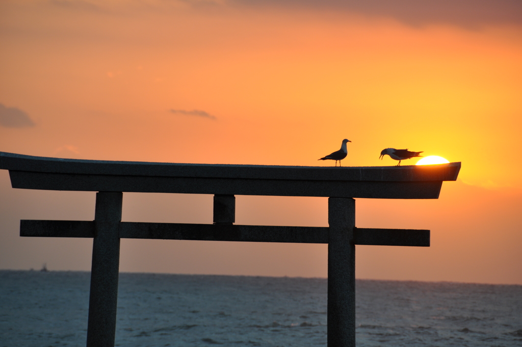 よろしくお願いします