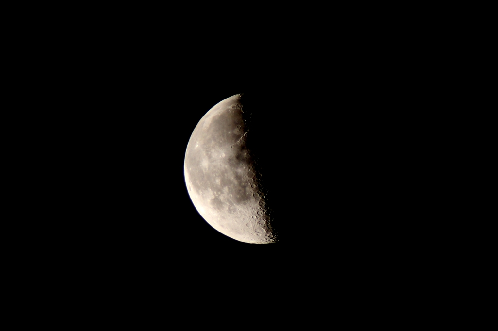 月撮れたてです。