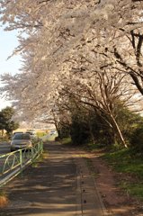 思い出の通り道