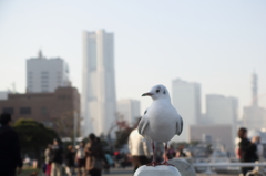 港町