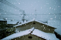 東京の初雪