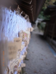 高麗神社にて