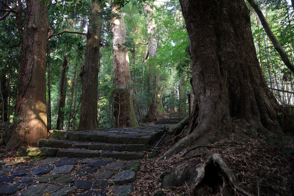 熊野古道