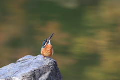 公園のカワちゃん2
