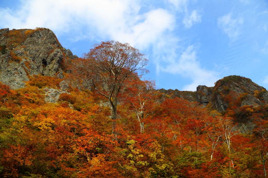 夜叉が池の紅葉