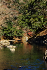 晩秋の渓
