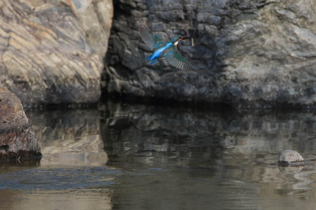 カワちゃん　難しい