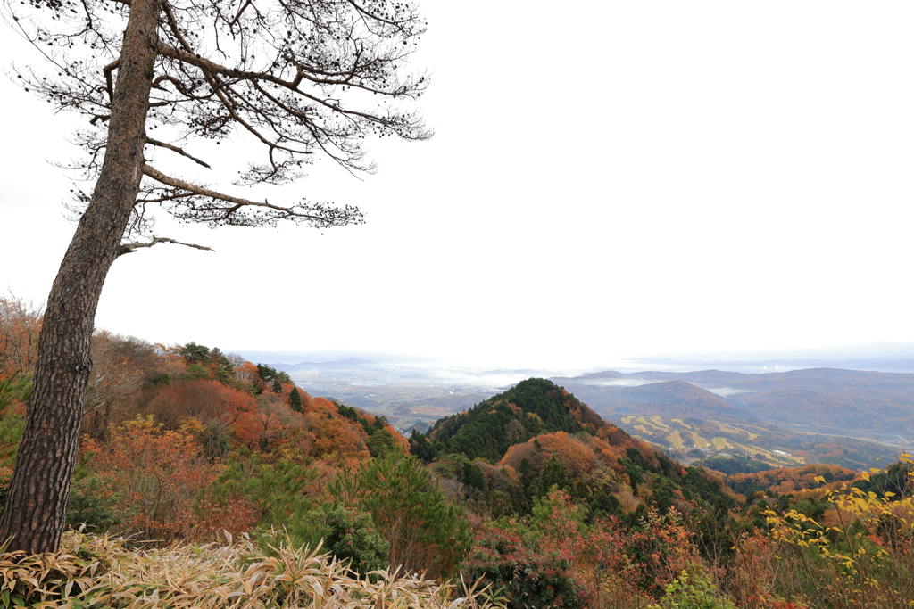 伊賀御斎峠