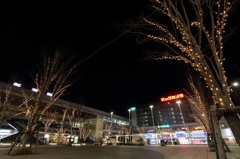 冬の新潟駅