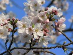 常磐公園にて