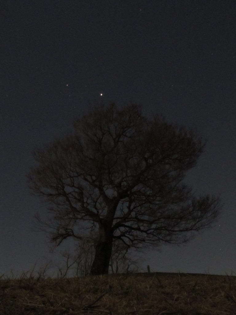 星の王子様っぽく　２