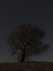 星の王子様っぽく　２