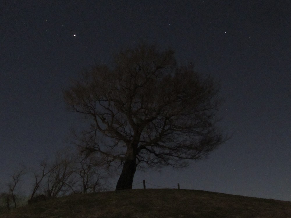 星の王子様っぽく　１