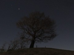 星の王子様っぽく　１